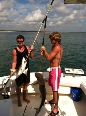 Miss Content Charters