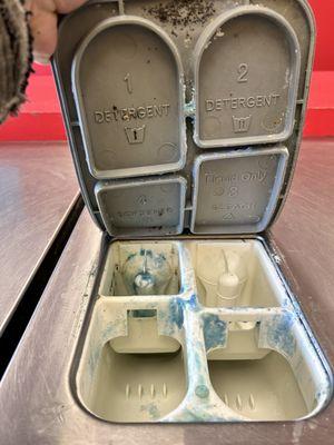 Lost Sock Coin Laundry and Laundromat - Gray