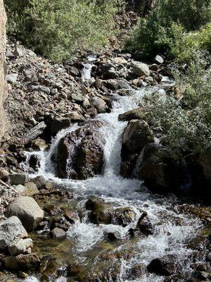 Mild to Wild Rafting & Jeep Trail Tours