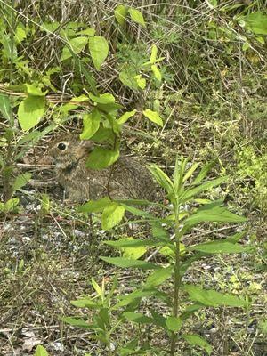 Prime Hook National Wildlife Refuge