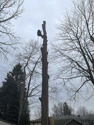 Reach For The Sky Tree Service