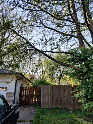 JED Services- Lawn Care And More