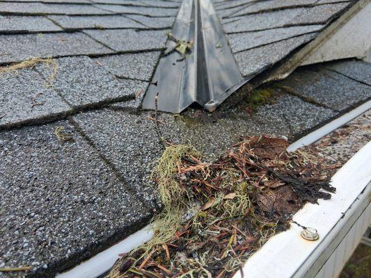 I don't think I've ever felt so duped by a company! Avoid Leaf Filter!