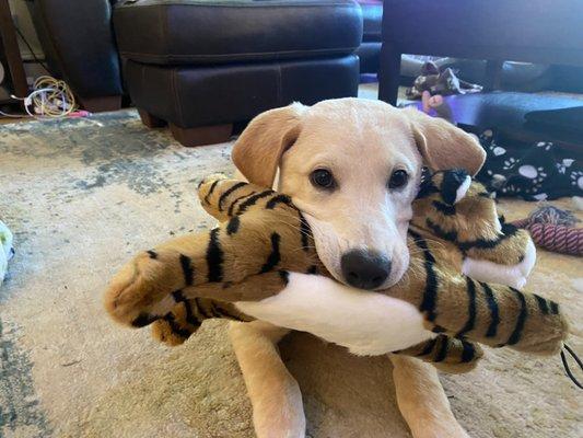 Grand Avenue Veterinary Center