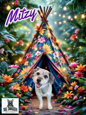 Tail Swagger Mobile Grooming