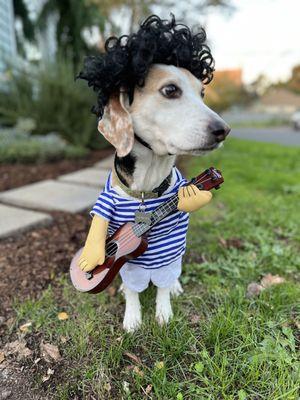 Wag Along Pet Care