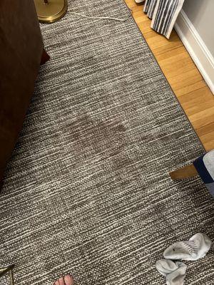 Klein Carpet Cleaning Service