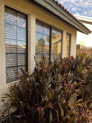 Seasonal Cleaning Service