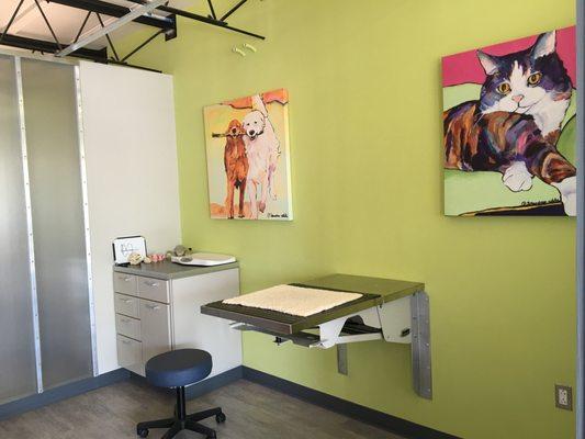 Advanced Veterinary Dentistry