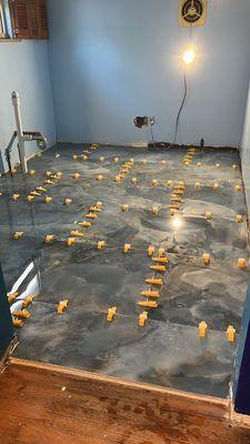 Liberty Empire Constitution