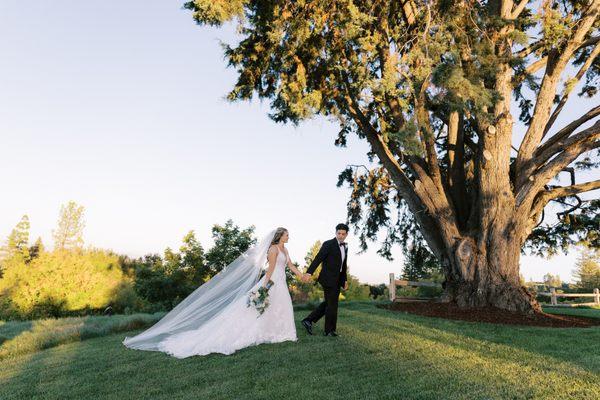 Fondly Frieda Events