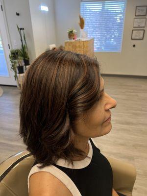 Highlights for brunettes