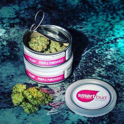 Smart bud - purple punchsiscle