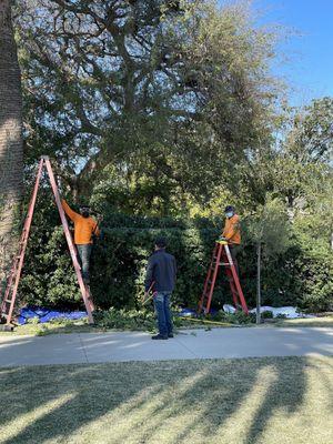 He was directing his crew very precisely.