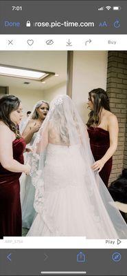 Alba Rose Photography