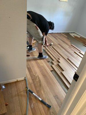 Oak masters hardwood