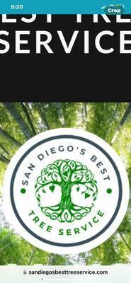 San Diego's Best Tree Service