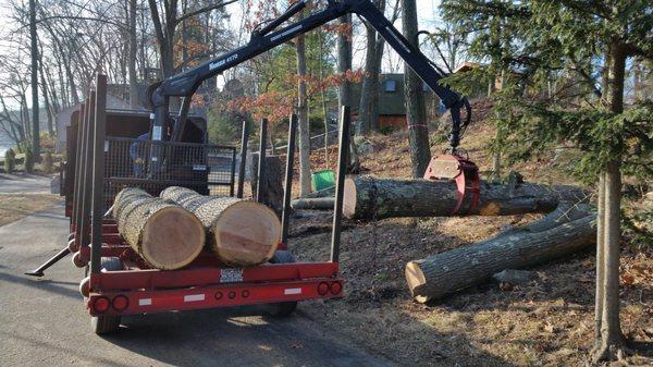 TJ's Outdoor Services