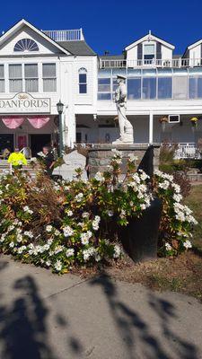 October 21, 2024: The camera is looking towards Danford's while The Sailor Statue looks towards Port Jefferson Harbor.