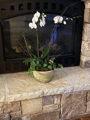 The Gardener's Cottage