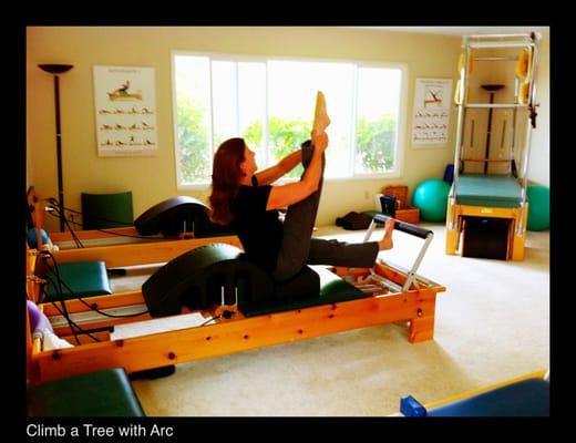 Mindful Movement Pilates Training Studio