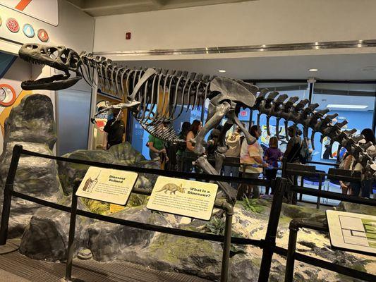 Museum of Science & History