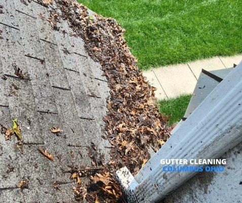 Time to get to work! Free estimates!