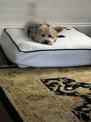 The Park on Main Hotel