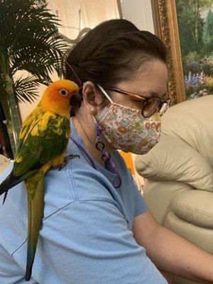 Their bird keeps you company :)