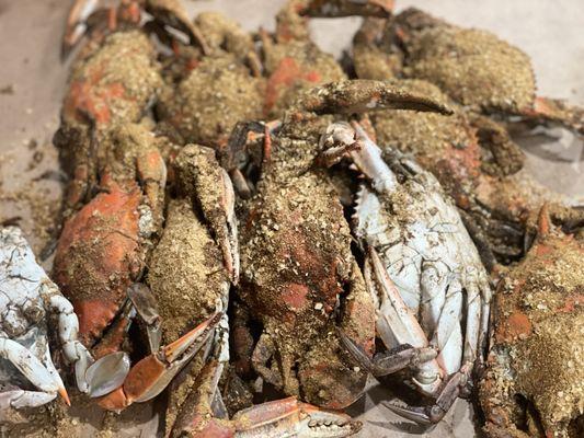 Mr Bill's Terrace Inn