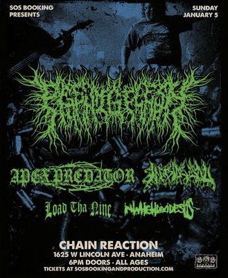 Chain Reaction