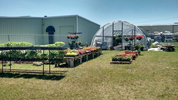 The Hanging Basket Greenhouse & Nursery