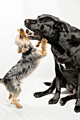 Jan Marie Photography