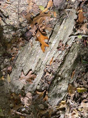 William H Kain Memorial Park