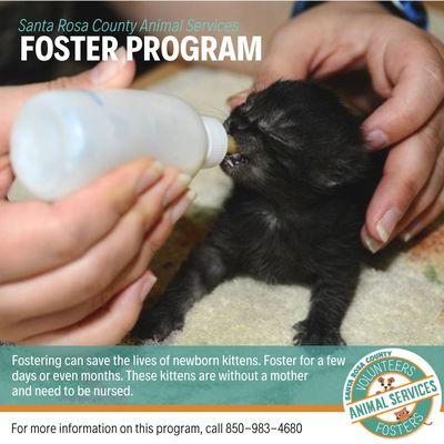 Santa Rosa County Animal Services