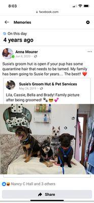 Susie's Groom Hut & Pet Services