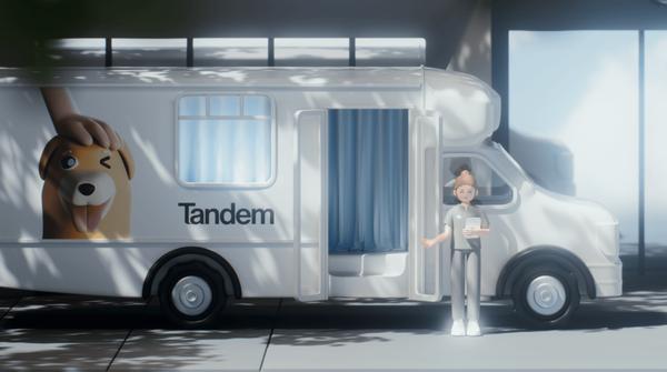 Tandem Vet Care