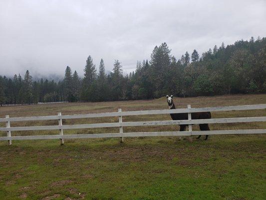 Cascade Mountain Ranch