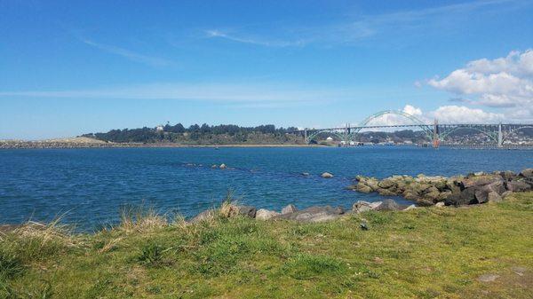 A great day at the jetty