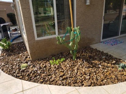 Desert Design & Landscape