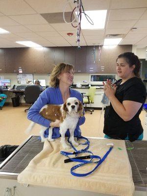 Elk Grove Veterinary Specialty & Emergency