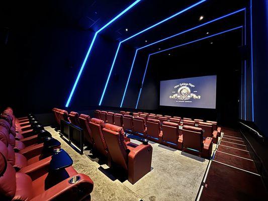 Living Room Theaters