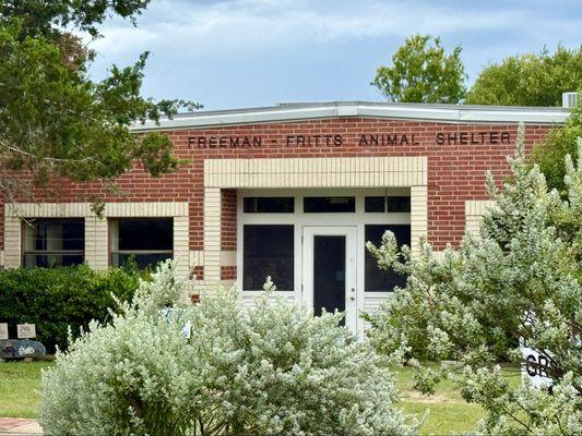 The kitty cat section! 