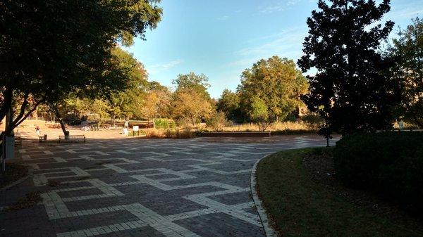 North Carolina State University