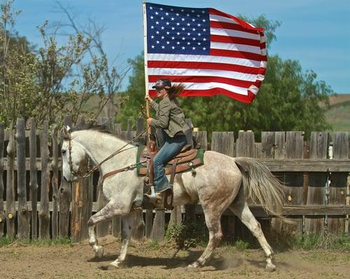 Western Premier Horse Sales