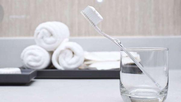 Ramada New Port Richey