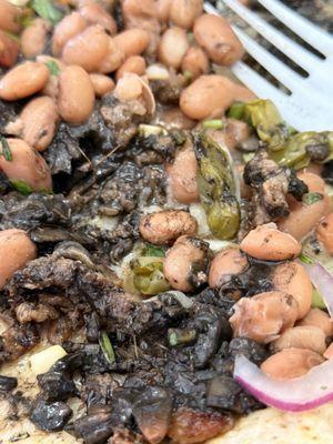 Quesadilla correteada with huitlacoche, nopales, melted cheese, beans, some corn, onions