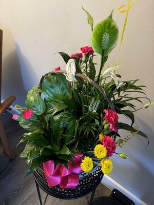 Evergreen Florist