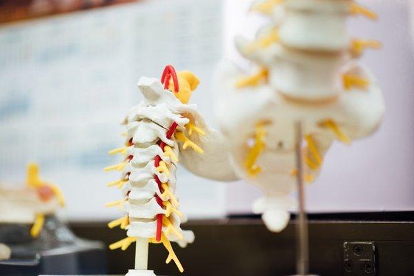 Hammond Chiropractic