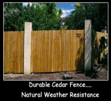 Superior Fence